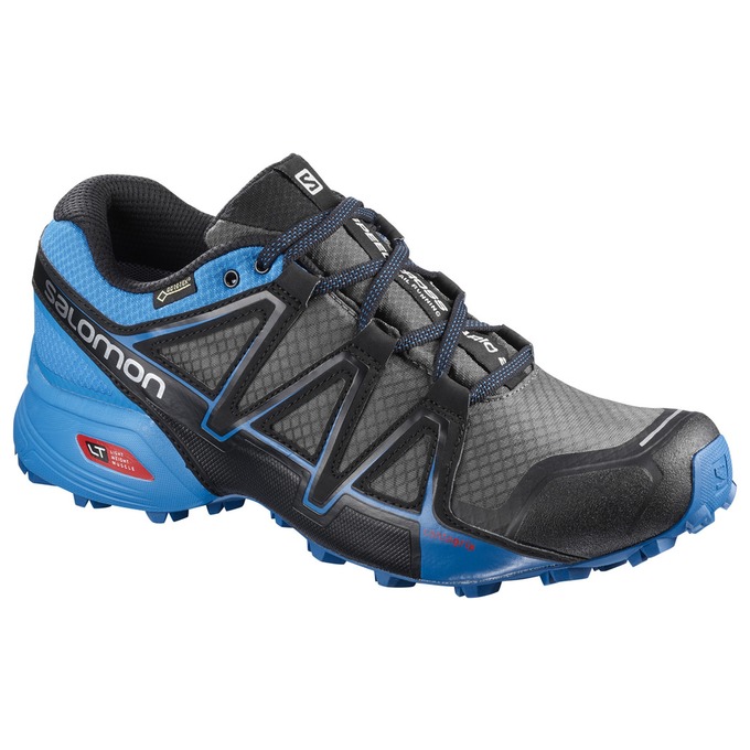 SALOMON SPEEDCROSS VARIO 2 GTX® Philippines - Men's Trail Running Shoes - Silver/Blue | 743169-YDS